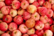 Apples have about 116 calories. (Image via Unsplash / K8 HRBT22o8cEU)